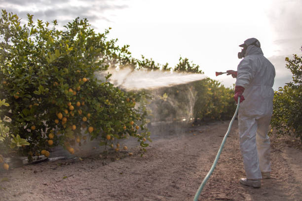 Best Emergency Pest Control  in Knox, IN