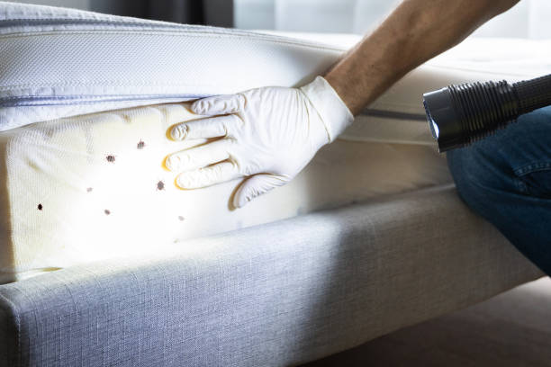 Best Pest Control Near Me  in Knox, IN