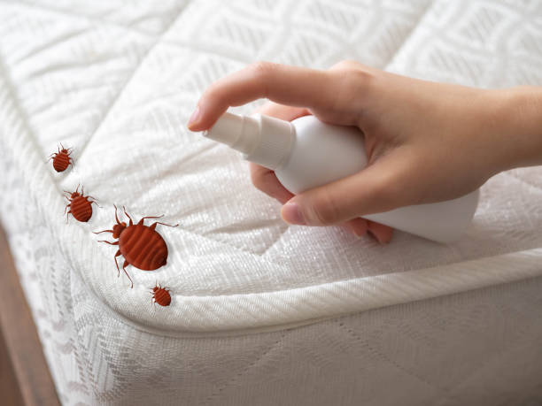 Best Insect Control  in Knox, IN