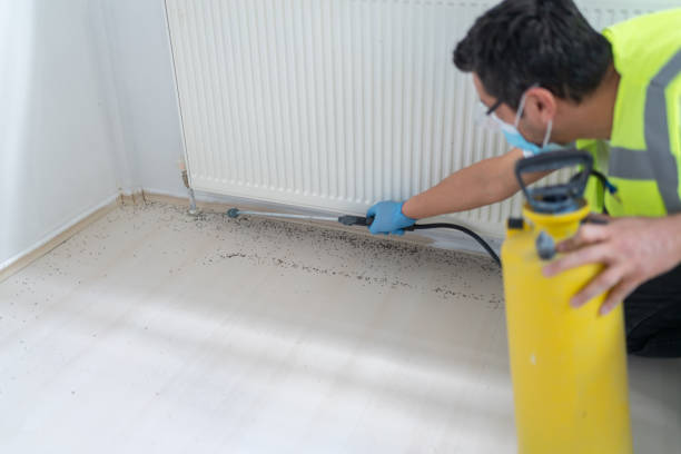 Trusted Knox, IN Pest Control Experts