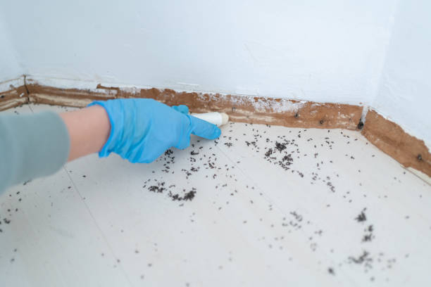 Pest Control Cost in Knox, IN